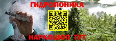 трава Кунгур