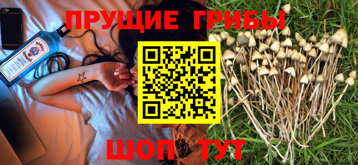 Псилоцибиновые грибы ЛСД  Вход с VPN  сколько стоит  Кемерово 